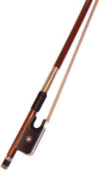 ARS Music AS-Q220VC-12