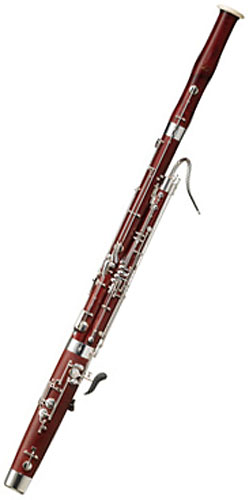 Schreiber S10 WS5010-2-0GB
