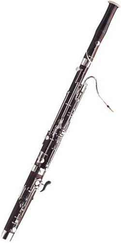 Schreiber S31 WS5031-2N-0